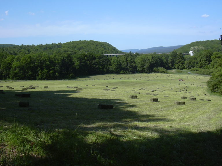 Maple syrup Archives Massachusetts Maple Producers Association