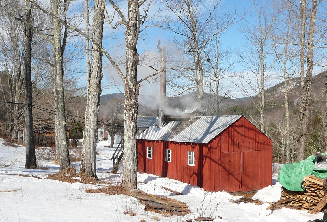 maple syrup tours massachusetts